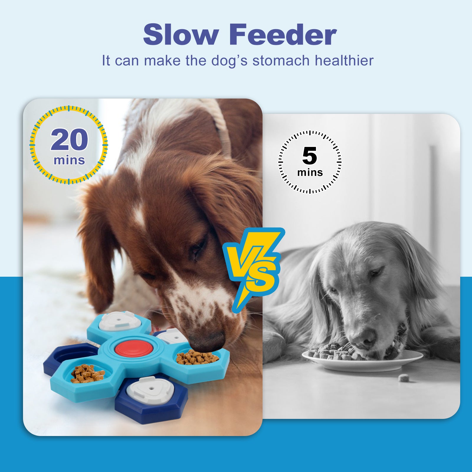 4-Layer Puzzle Slow Feeder Bowl (Medium/Large) — Slower Eating, More Engagement
