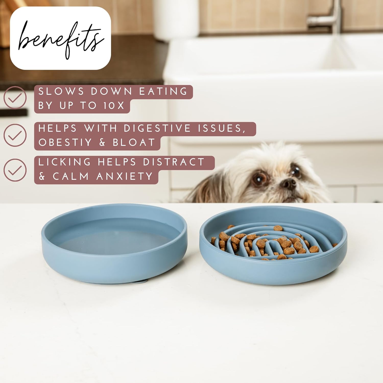 Slowdown Bowl (Silicone) — Slow Feeder Lick Mat for Dogs & Puppies