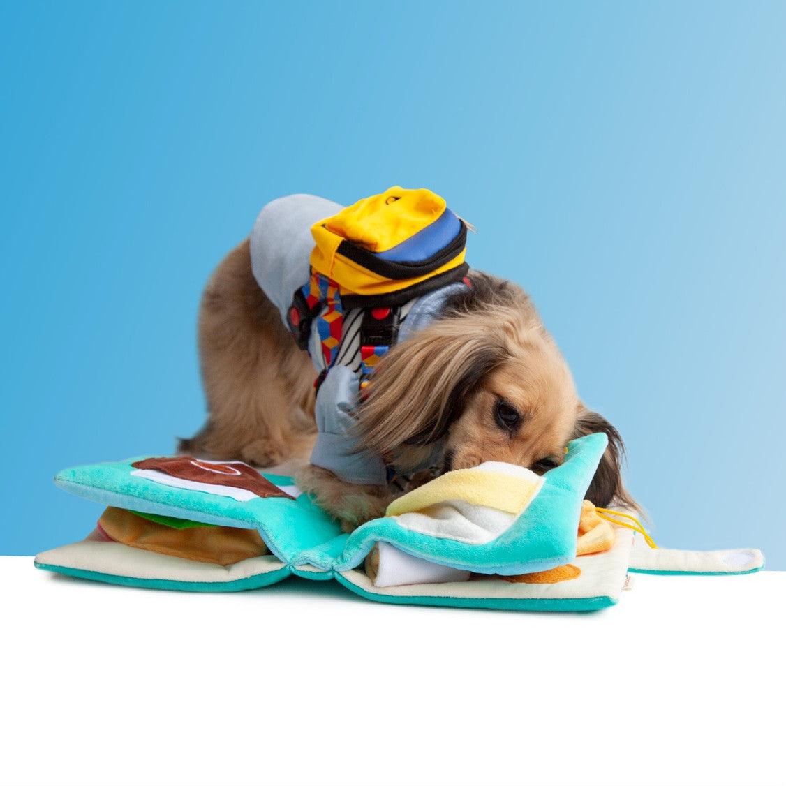 Dog Puzzle Sniffing Book Toy — Slow Feeding & Interactive Pages