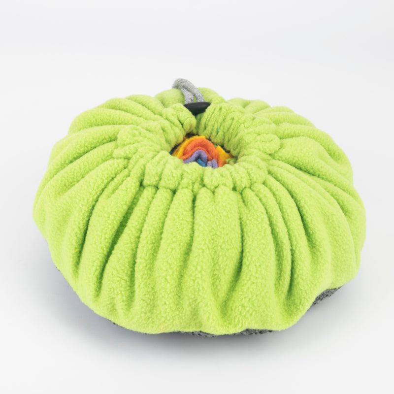 Dog Puzzle Toy Slow Feeder — Sharpens Problem-Solving Skills