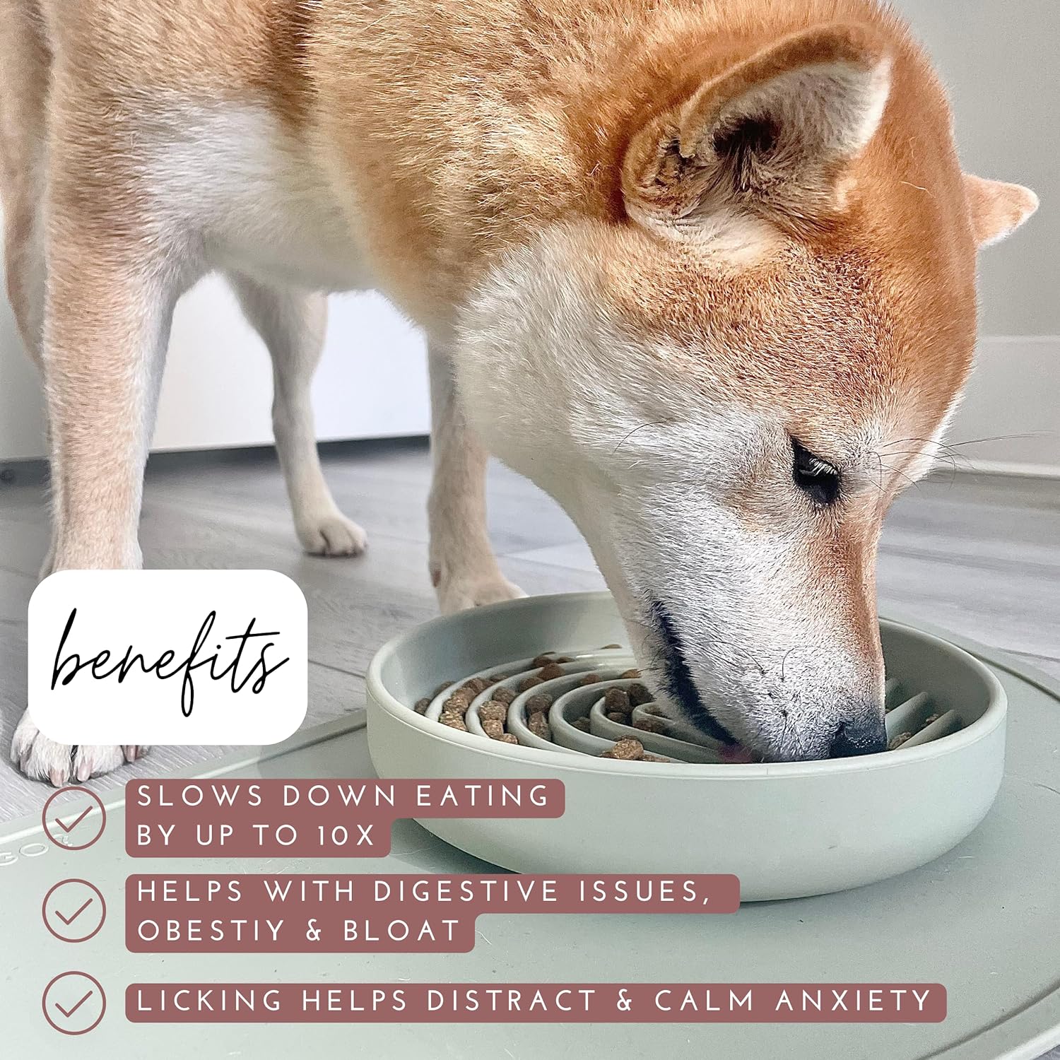 Slowdown Bowl (Silicone) — Slow Feeder Lick Mat for Dogs & Puppies