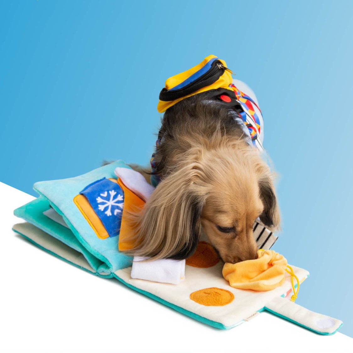 Dog Puzzle Sniffing Book Toy — Slow Feeding & Interactive Pages